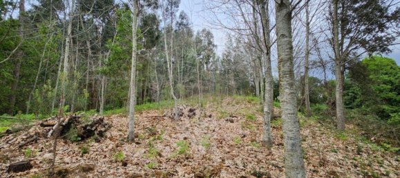 قطعة أرض في Sever do Vouga, Portugal 1775متر مربع رقم 69588 14