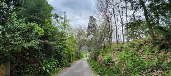 قطعة أرض في Sever do Vouga, Portugal 1775متر مربع رقم 69588 5