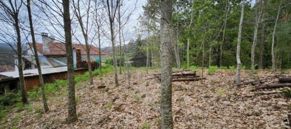 قطعة أرض في Sever do Vouga, Portugal 1775متر مربع رقم 69588 6