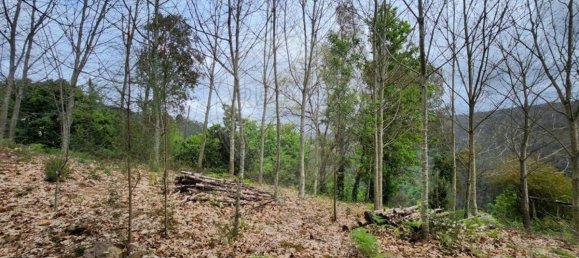 قطعة أرض في Sever do Vouga, Portugal 1775متر مربع رقم 69588 12