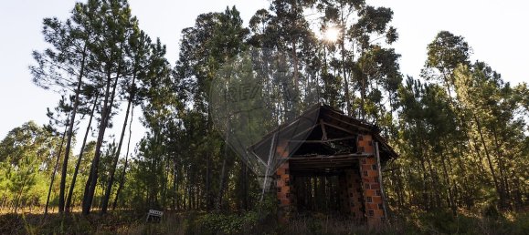 2 Schlafzimmer Haus in Ourem, Portugal, Nr. 27790 2
