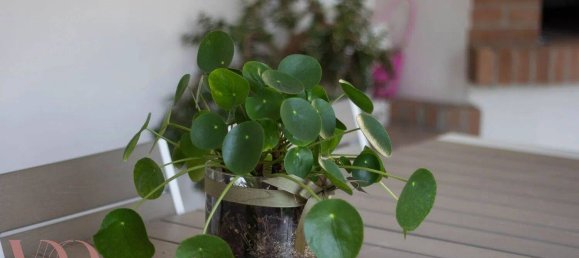 Вилла с 7 спальнями в Истрана, Италия № 291701 20