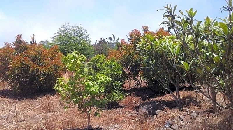 1 Schlafzimmer Haus in Tenerife, Spain, Nr. 244814