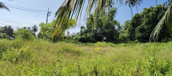 Grundstück in Ko Samui, Thailand, Nr. 32939 2