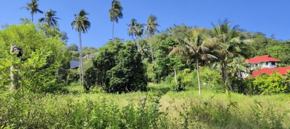 Grundstück in Ko Samui, Thailand, Nr. 32939 4