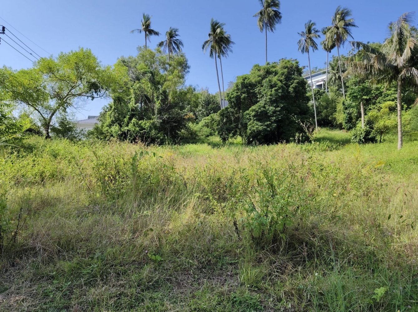 Grundstück in Ko Samui, Thailand, Nr. 32939