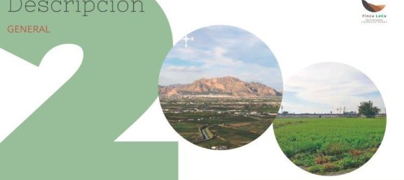 Quinta T1 em Callosa de Segura, Spain N.º 8311 16