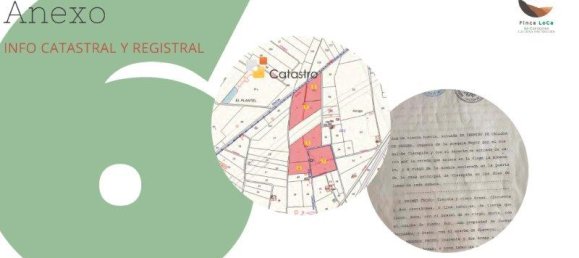 Quinta T1 em Callosa de Segura, Spain N.º 8311 4