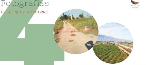 Quinta T1 em Callosa de Segura, Spain N.º 8311 8