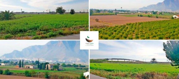 Quinta T1 em Callosa de Segura, Spain N.º 8311 6