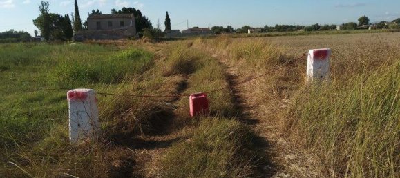 Quinta T1 em Callosa de Segura, Spain N.º 8311 24