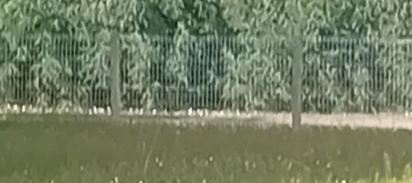 Terrain à Le Teich, France No. 307285 3