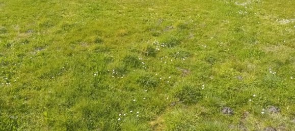 Terrain à Le Teich, France No. 307285 2