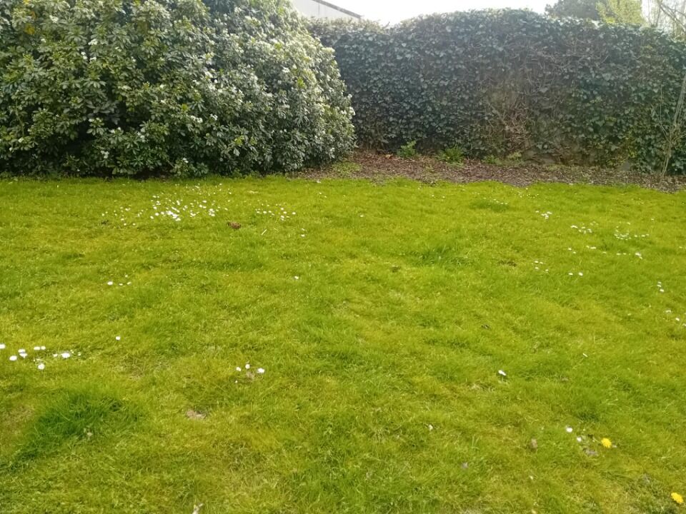 Terrain à Le Teich, France No. 307285