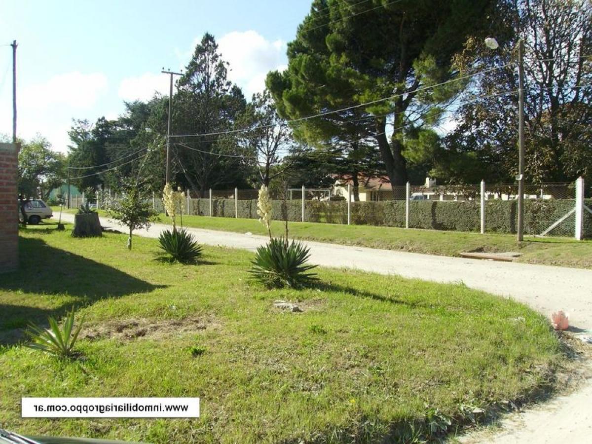 3 bedrooms House in Mar del Plata, Argentina No. 102388