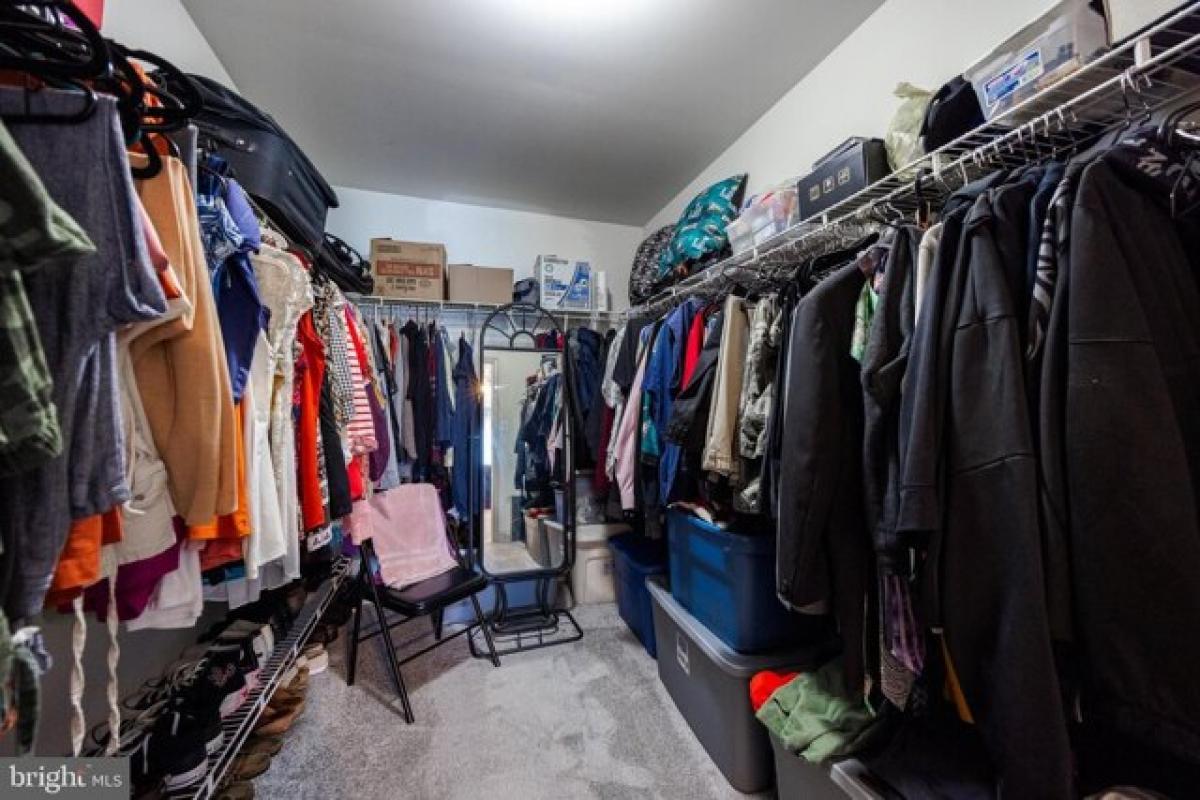 5 bedrooms House in Williamstown, USA No. 390037