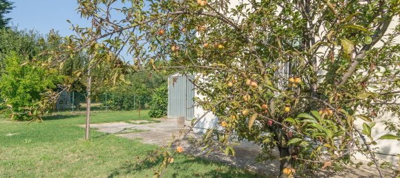 6 bedrooms House in Bagnacavallo, Italy No. 322764 43