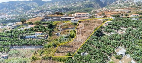 Grundstück in Funchal, Portugal 2800m², Nr. 118445 5