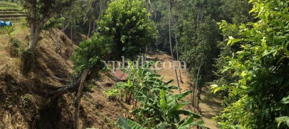 Terreno en Tabanan, Indonesia 7715 m² No. 3893 6