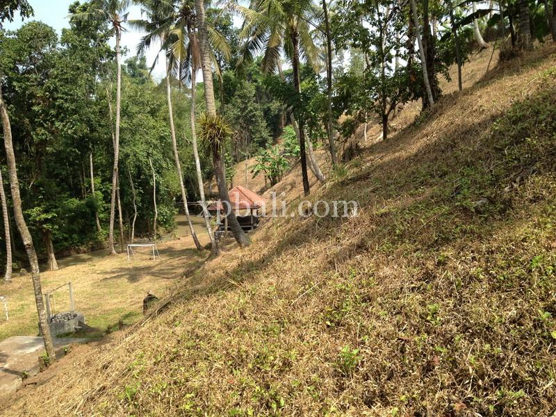 Terreno en Tabanan, Indonesia 7715 m² No. 3893