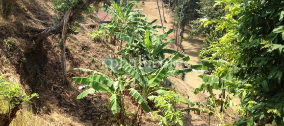 Terreno en Tabanan, Indonesia 7715 m² No. 3893 4