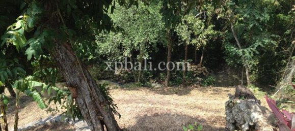 Terreno en Tabanan, Indonesia 7715 m² No. 3893 7