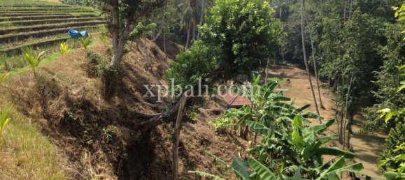 Terreno en Tabanan, Indonesia 7715 m² No. 3893 5