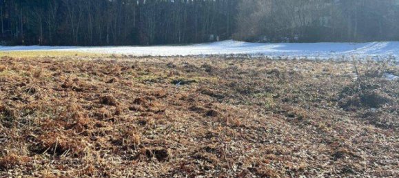  Land in Schiefling am Worthersee, Austria No. 225894 7