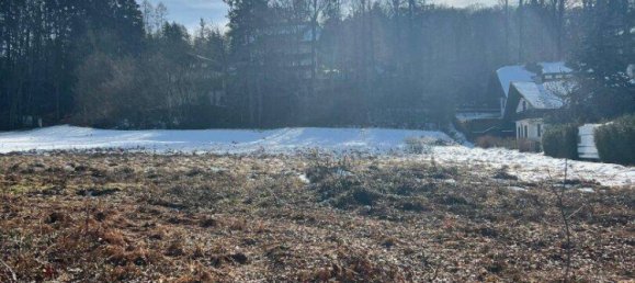  Land in Schiefling am Worthersee, Austria No. 225894 6