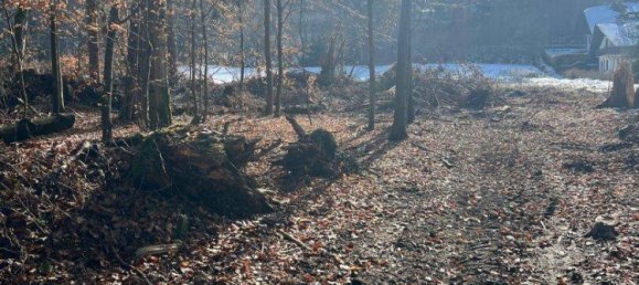  Land in Schiefling am Worthersee, Austria No. 225894 3