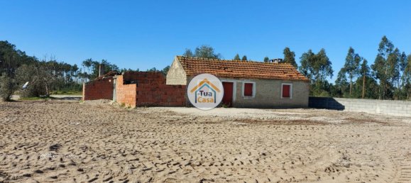 Terrain à Cadima, Portugal 2399m² No. 74789 15