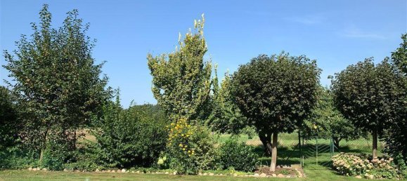 Casa T8 em Nienburg, Germany N.º 333169 6