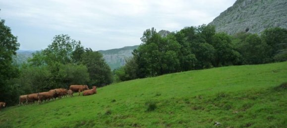 3 bedrooms House in Cantabria, Spain No. 156396 2