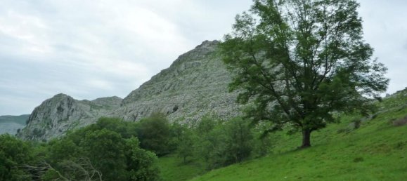 3 bedrooms House in Cantabria, Spain No. 156396 7