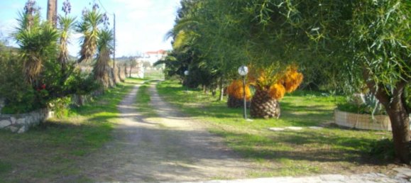 Propiedad comercial de 4 dormitorios en Zakynthos, Greece No. 476 3