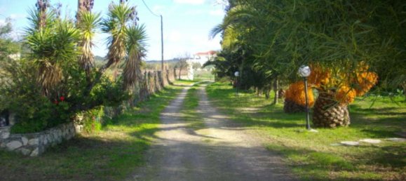 Propiedad comercial de 4 dormitorios en Zakynthos, Greece No. 476 14