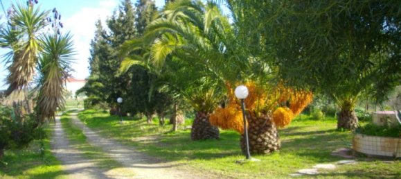 Propiedad comercial de 4 dormitorios en Zakynthos, Greece No. 476 13