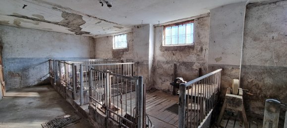 Дом с 8 комнатами в Хафнербах, Австрия № 126495 29