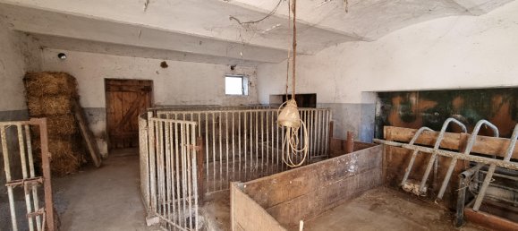 Дом с 8 комнатами в Хафнербах, Австрия № 126495 40