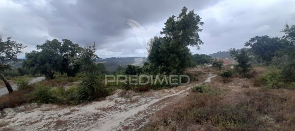 Земельный участок 800000м² в Азамбужа, Португалия № 79777 22