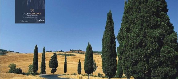 20 bedrooms Villa in Castiglione del Lago, Italy No. 530 3