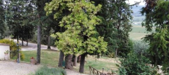 20 bedrooms Villa in Castiglione del Lago, Italy No. 530 9