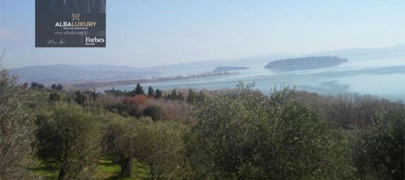 20 bedrooms Villa in Castiglione del Lago, Italy No. 530 10