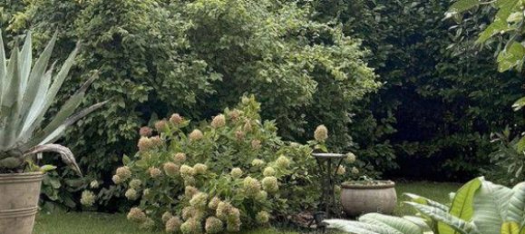 7-salle Maison à Baden, Austria No. 259967 7