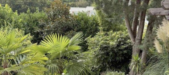 7-salle Maison à Baden, Austria No. 259967 6