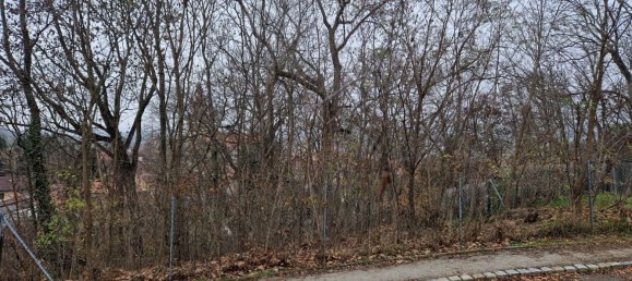 Land in Ravelsbach, Austria No. 134141 6