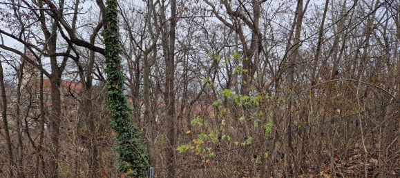 Land in Ravelsbach, Austria No. 134141 7