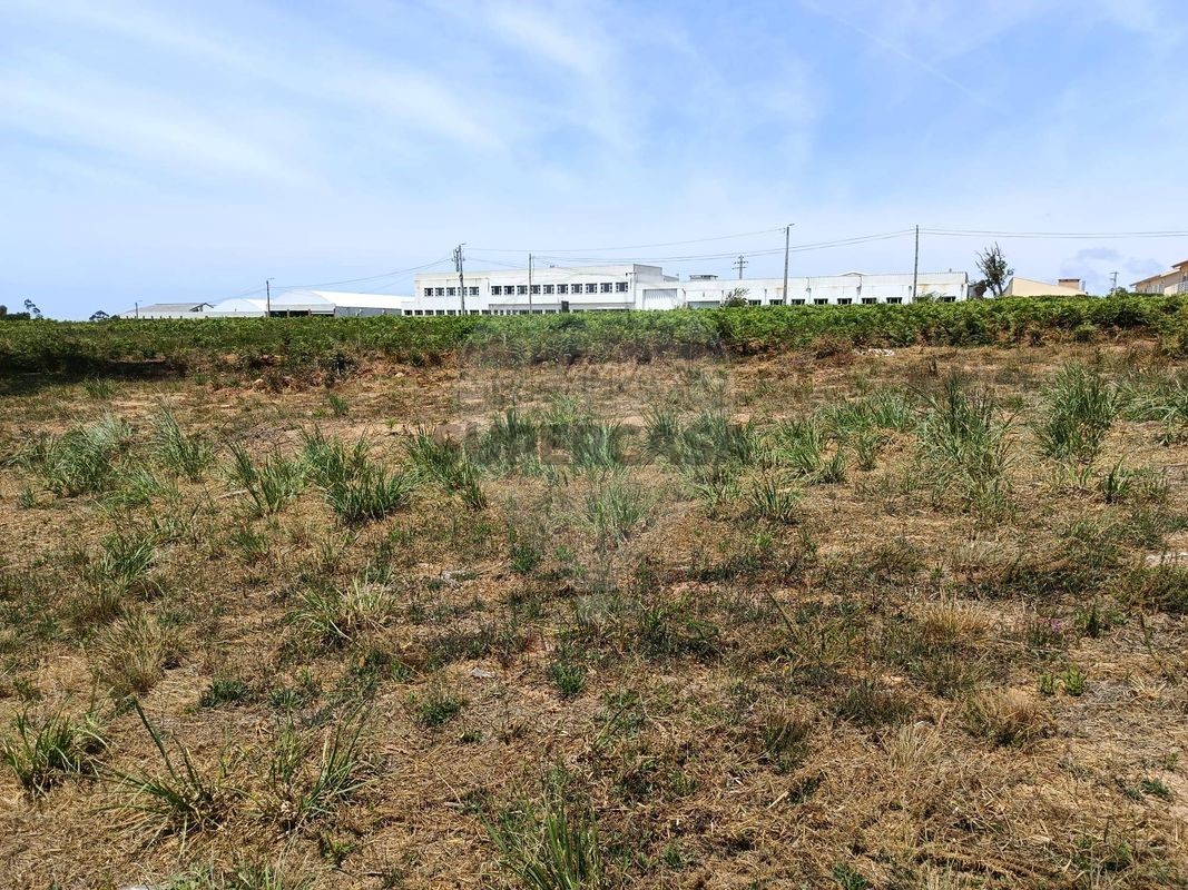  Land in Vieira do Minho, Portugal No. 314799