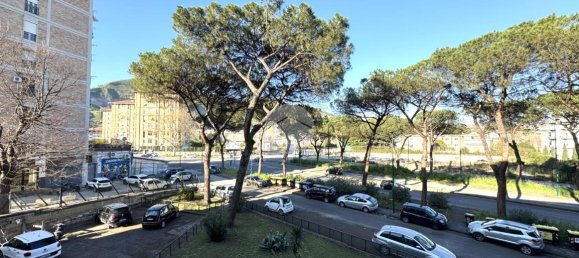 3 rooms Apartment in Naples, Italy No. 230942 26