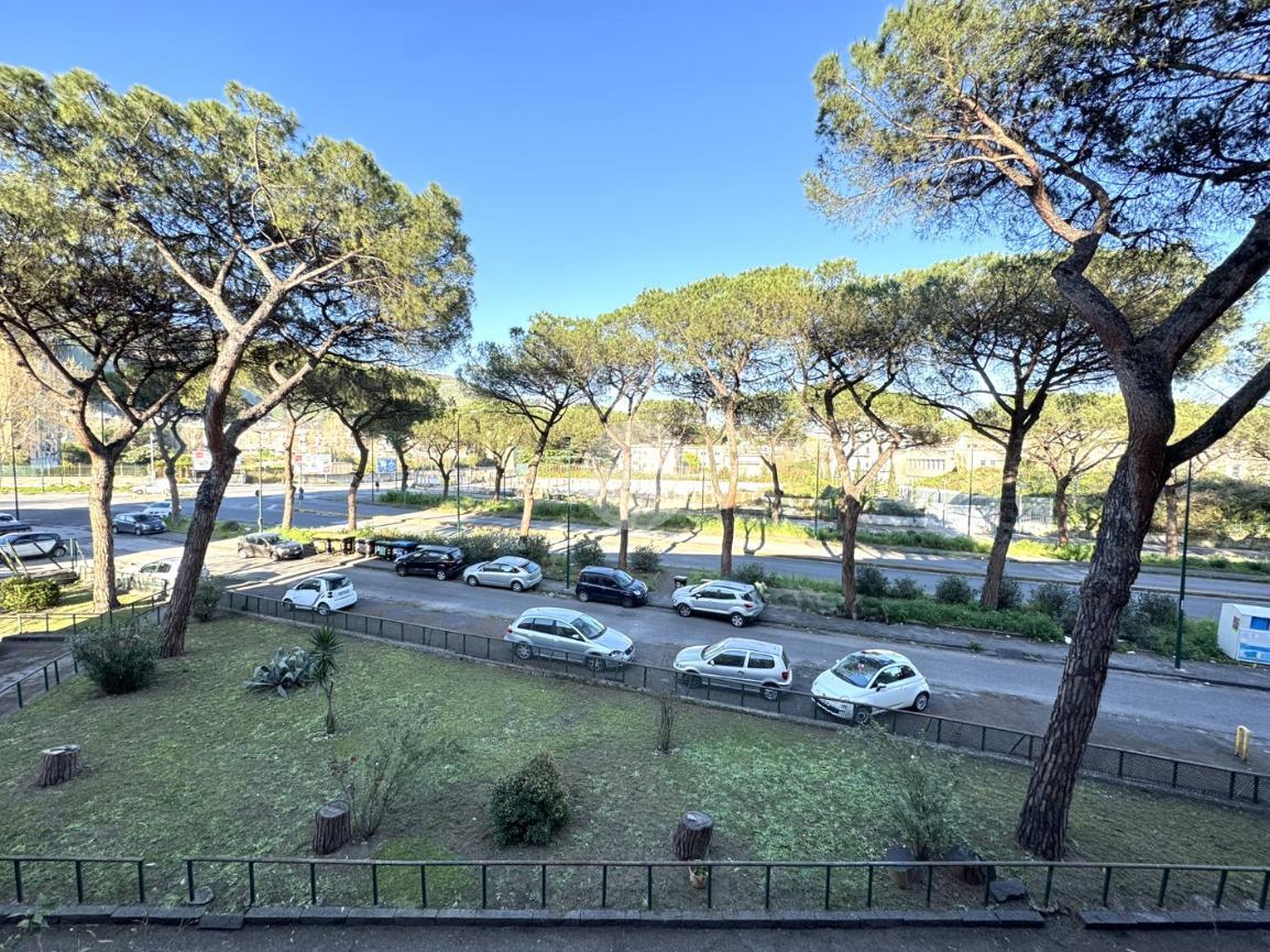 3 rooms Apartment in Naples, Italy No. 230942